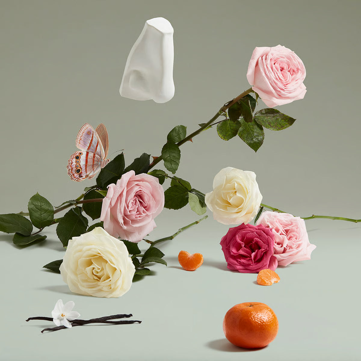 The Coveted Duchess Rose(2ml sample) - Penhaligon's
