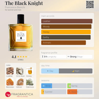 The Black Knight - Francesca Bianchi