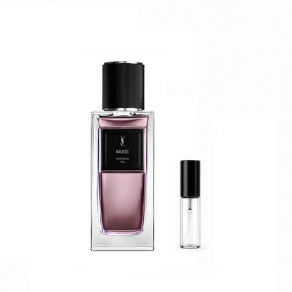 Muse - Yves Saint Laurent